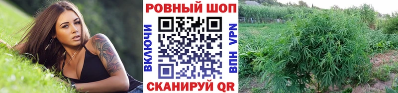 Все наркотики Дятьково КОКАИН  ГАШ  omg как войти  МАРИХУАНА  A-PVP 