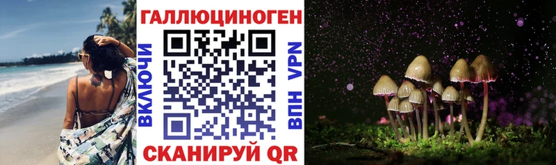 Псилоцибиновые грибы прущие грибы  Дятьково 